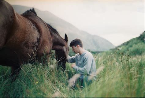 Calm With Horses! Uma História Irlandesa de Lealdade, Violência e Dilemas Morais Complexos!